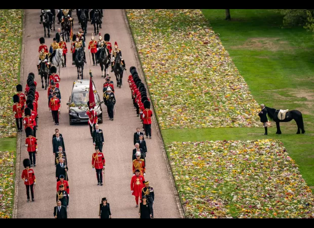 Who has the late Queen's horses now and are they competing at Ascot?