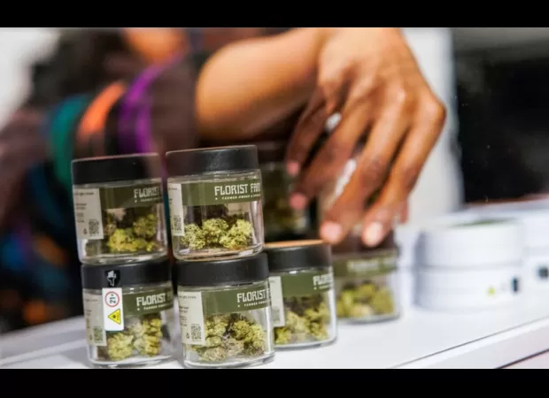 An Illinois cannabis company is organizing a fundraiser on Juneteenth to support local economic growth.