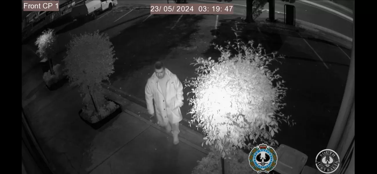 Video footage captures man accused of burglarizing sex shop and taking erotic products.