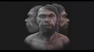 After 300,000 years, the appearance of the oldest human has been unveiled.