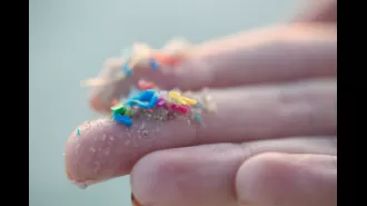 Plastic particles in penis raise fertility worries