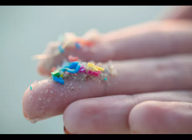 Plastic particles in penis raise fertility worries