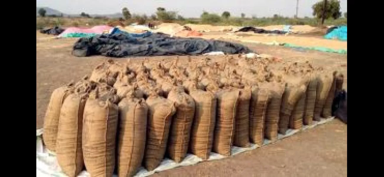 Government has increased the minimum support price (MSP) for paddy by Rs 117 to Rs 2,300 per quintal for the year 2024-25.