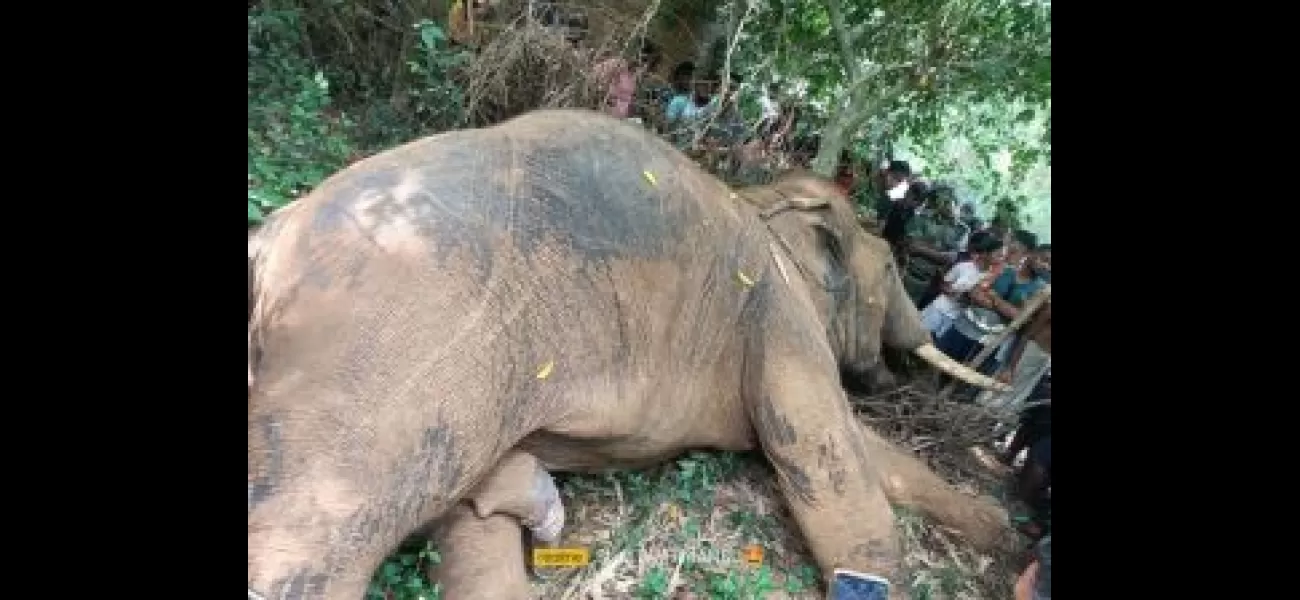 Dead elephant found in Keonjhar village.