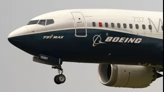 Pilots cautioned of potential cabin smoke from bird strikes in these planes.