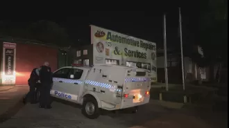 Bones found at Sydney construction site have been identified.