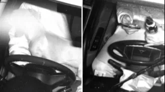 A large amount of drivers were caught in a trial using phone cameras.