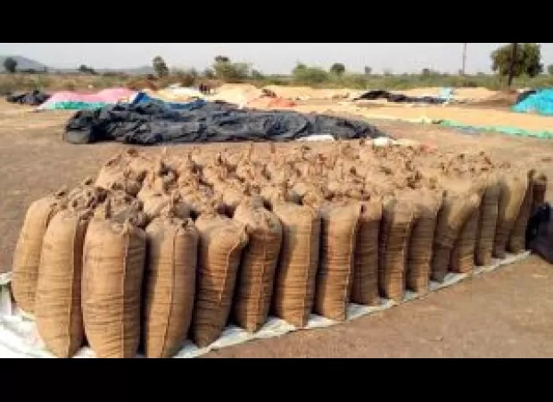 Government has increased the minimum support price (MSP) for paddy by Rs 117 to Rs 2,300 per quintal for the year 2024-25.