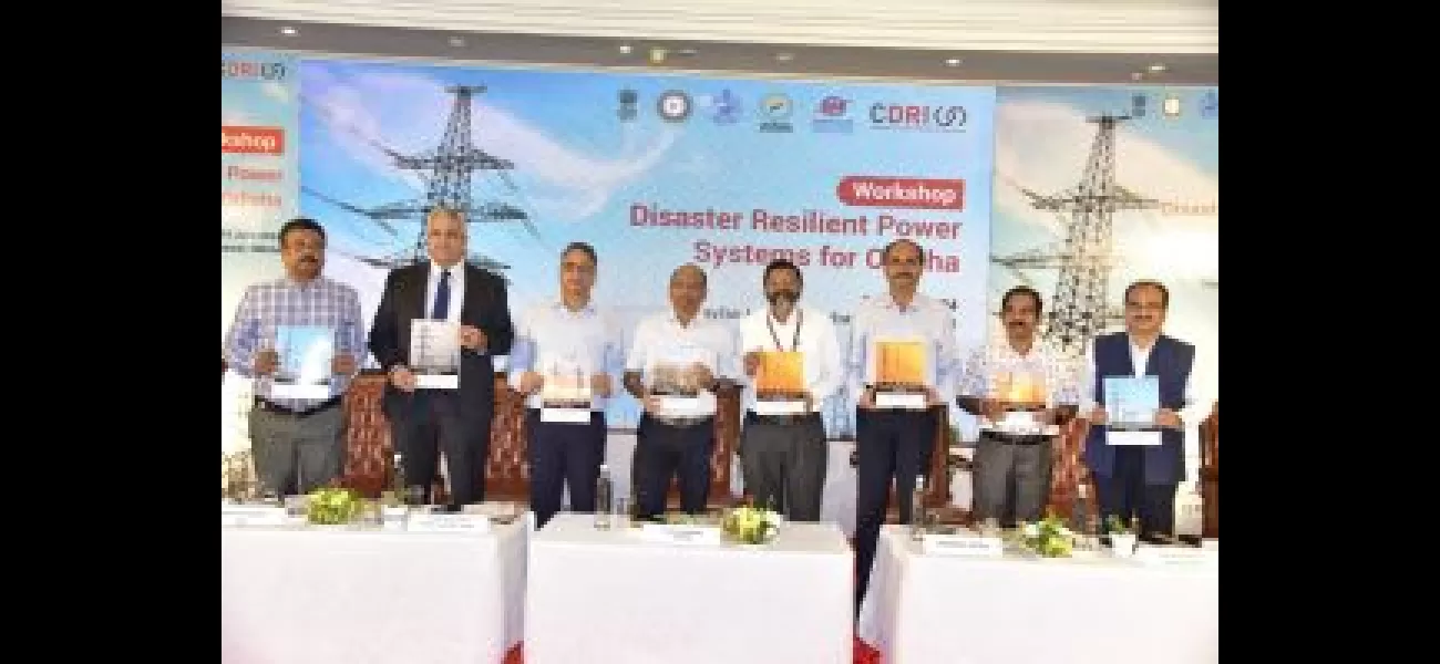 CDRI's goal is to protect against power disruptions by creating a strong and durable power infrastructure.