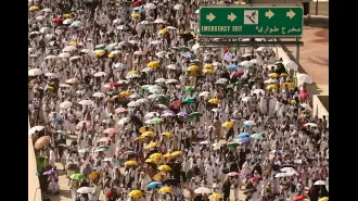 Over 550 hajj pilgrims perish due to extreme heat above 50°C in Mecca.