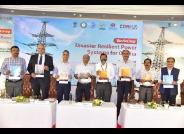 CDRI's goal is to protect against power disruptions by creating a strong and durable power infrastructure.