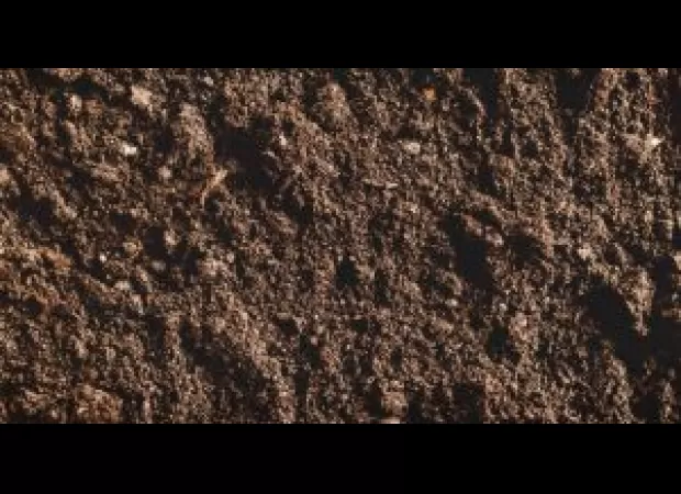 Tata Steel and ICAR-NRRI will work with the Odisha government to improve acidic soils in the state.