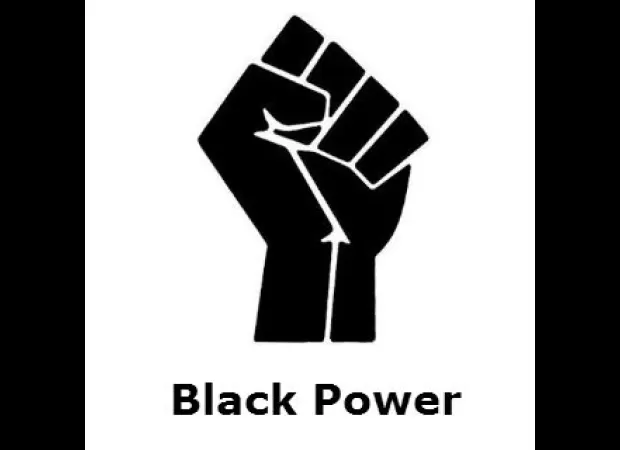 Study finds that there is growing acceptance and backing for Black Nationalism.