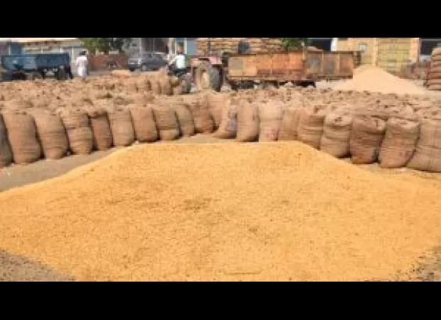 The government of Odisha increases the minimum support price for paddy to Rs3,100.
