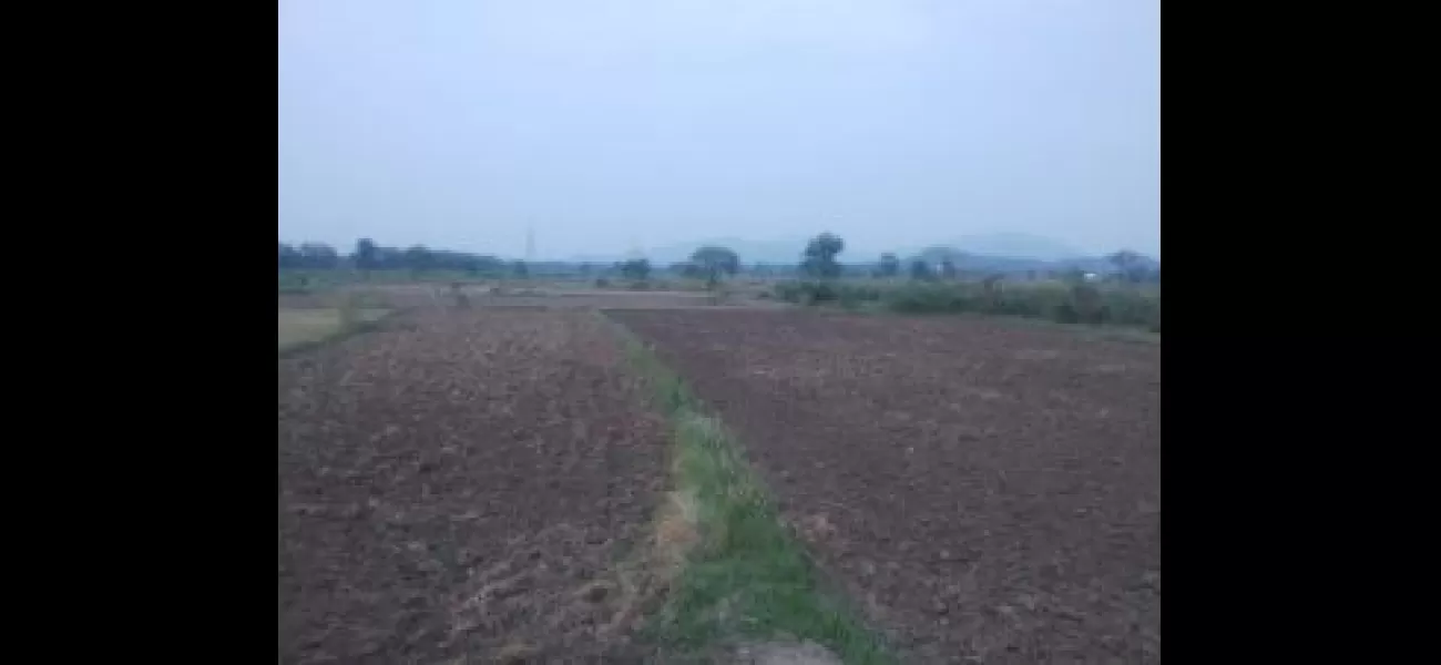 Farmers in Nayagarh are anxious about the monsoon delay.