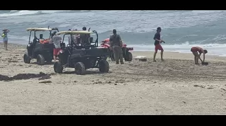 Six kids watch as parents drown on beach trip.