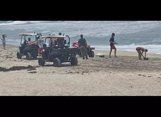 Six kids watch as parents drown on beach trip.