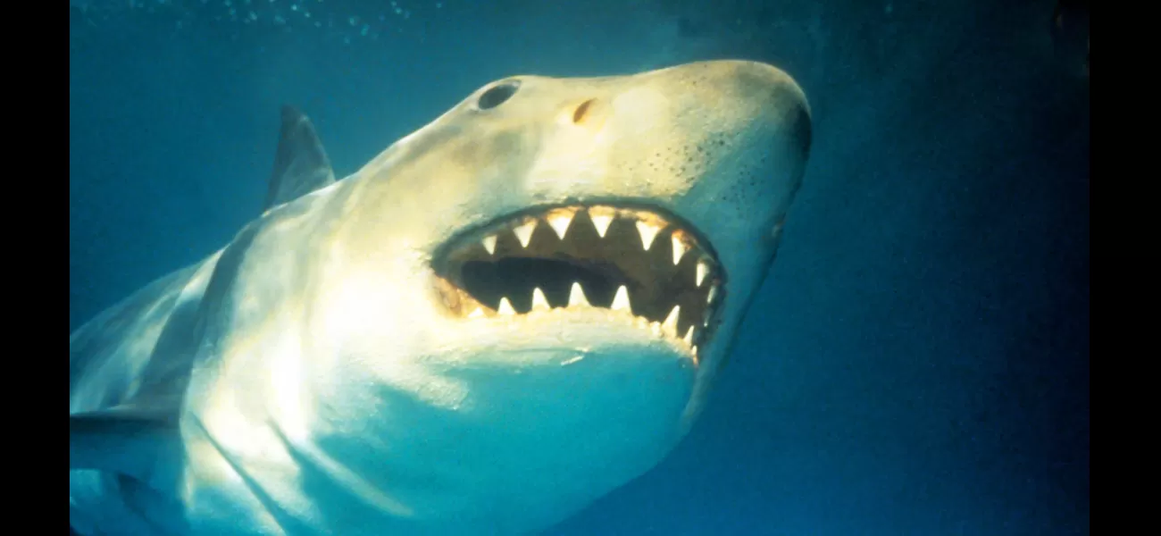 7 top shark flicks for a thrilling summer, and where to stream them.