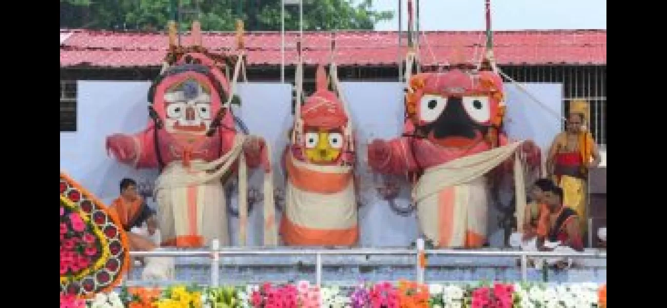 The Debasnana Purnima festival involves taking a holy bath and dressing up elephants for a divine experience.