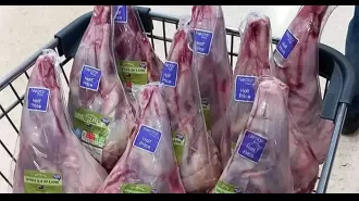 A buyer is criticized for excessive purchasing of discounted lamb, getting nine legs for just £36.