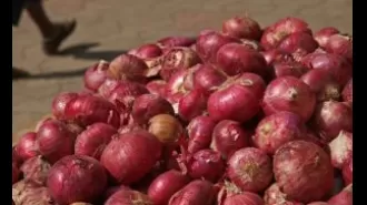 Govt purchases 71,000 tons of onions to stabilize prices, anticipating relief with regular monsoon.