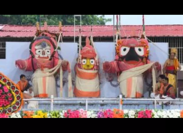 The Debasnana Purnima festival involves taking a holy bath and dressing up elephants for a divine experience.