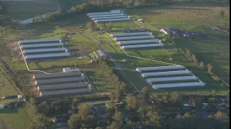 Another commercial egg farm in Sydney's Hawkesbury reports detection of bird flu.