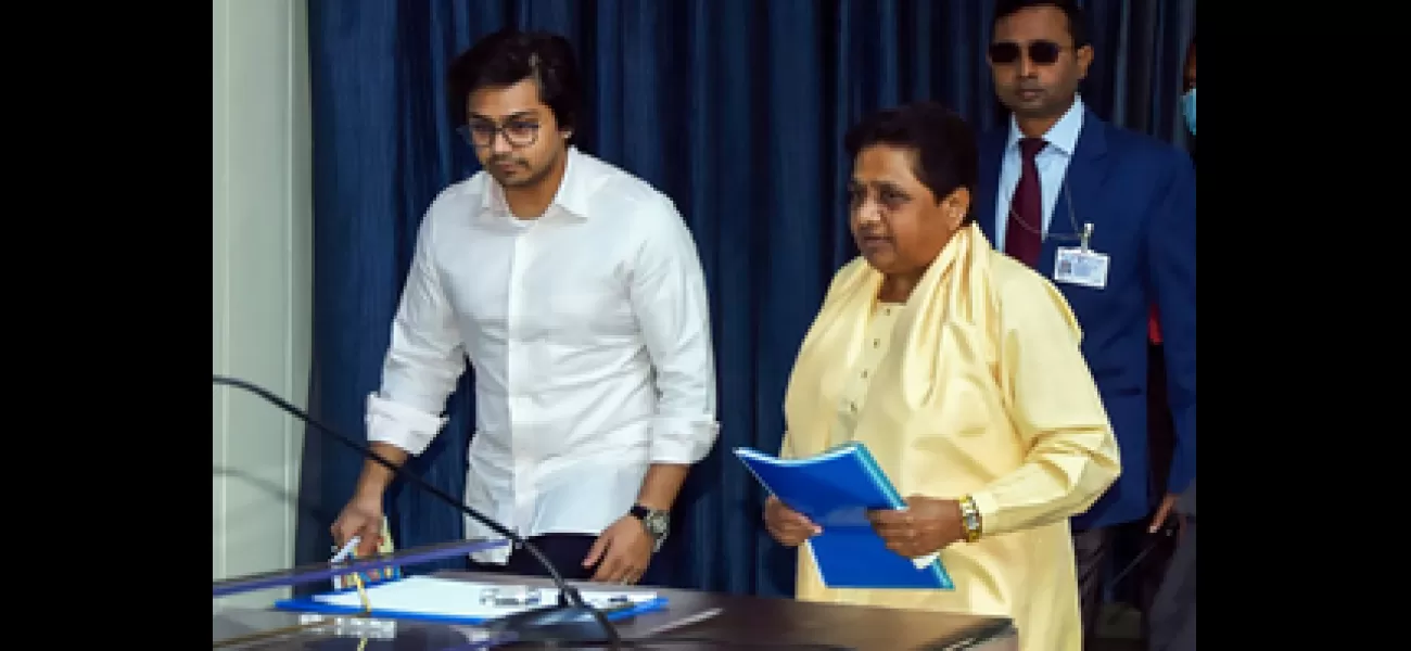 Mayawati has named her nephew Akash Anand as the National Coordinator of BSP and her political successor.