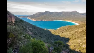 Trade regular work hours for unconventional jobs on a picturesque island in Australia.