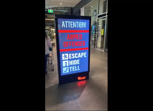 Two individuals were taken into custody when a violent fight broke out, resulting in the lockdown of a shopping center.