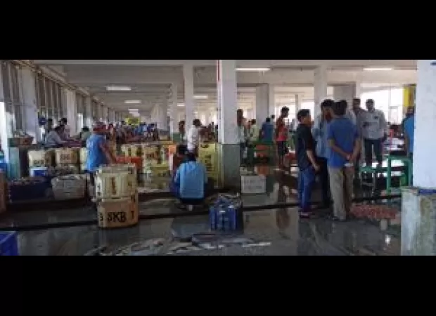 US reluctant to buy fish from ocean