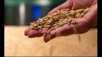 Stockholding limit on wheat imposed by Centre and open to cutting import duty to control soaring prices.