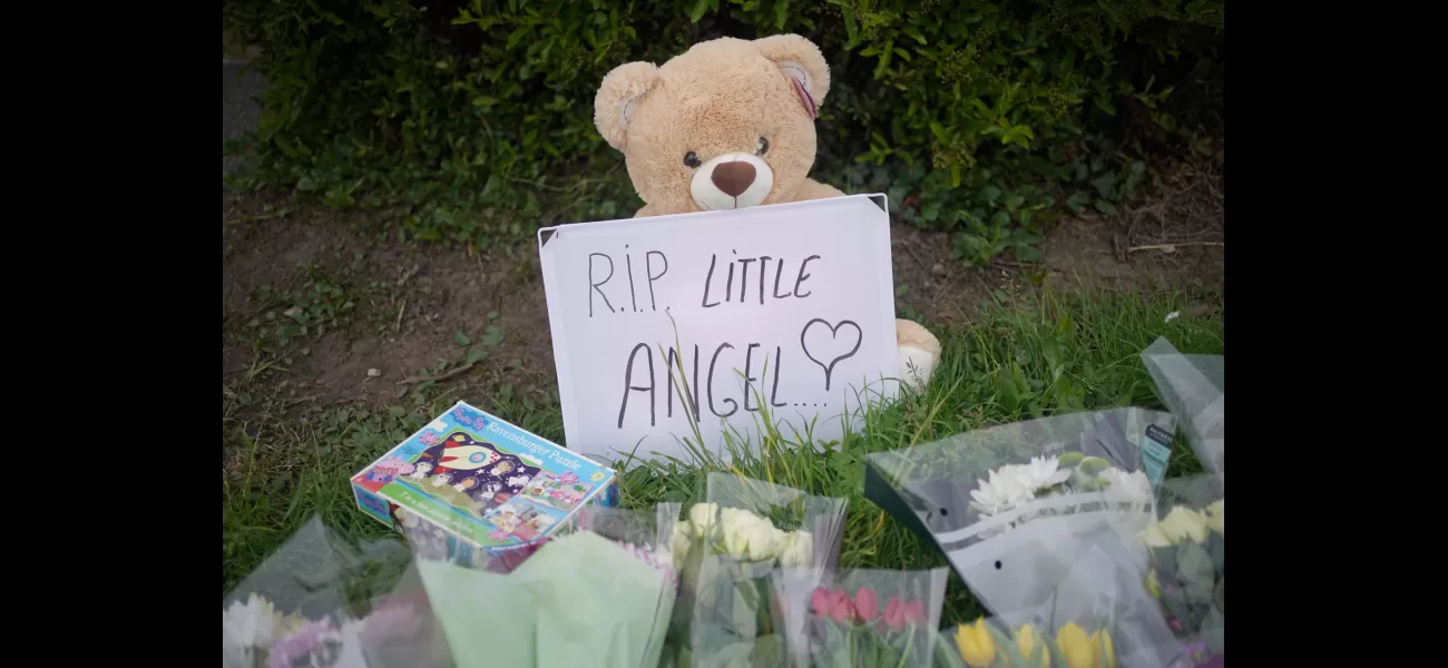 Labour promises to ban the online sale of deadly weapons used in the recent killings of teenagers in the UK.