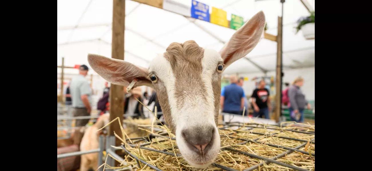 Over 200,000 people attend the Royal Highland Show, with ticket sales reaching a record high.