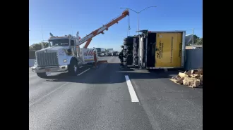 A truck filled with 7.2 tons of avocados crashes on US highway.