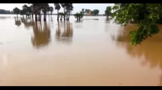 Odisha government has advised collectors to be ready for potential floods.