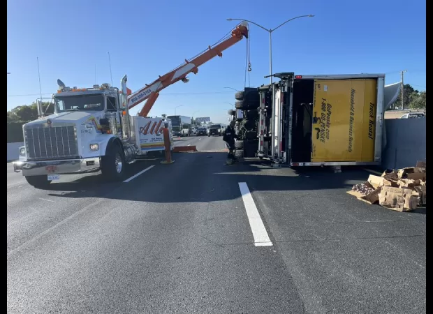 A truck filled with 7.2 tons of avocados crashes on US highway.
