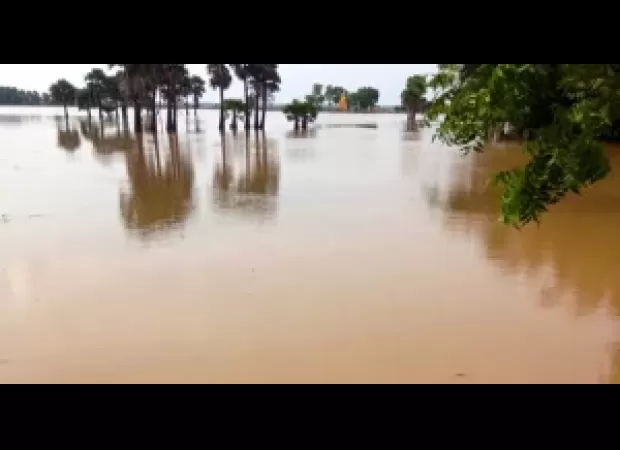Odisha government has advised collectors to be ready for potential floods.