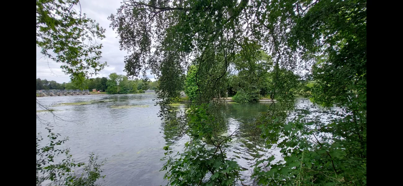 Rare private island near London for less than £100,000.