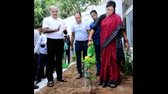 Parida, Deputy CM, plants tree at Tourism department.