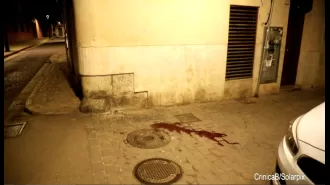 A British citizen was seriously hurt when they fell from a balcony in Mallorca.