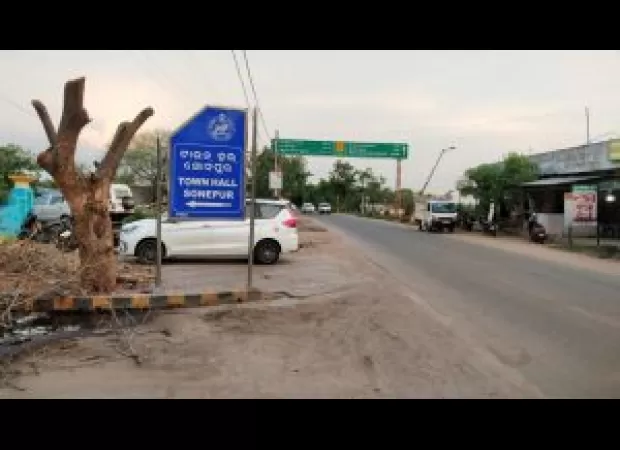 Backlash against tree removal decision.