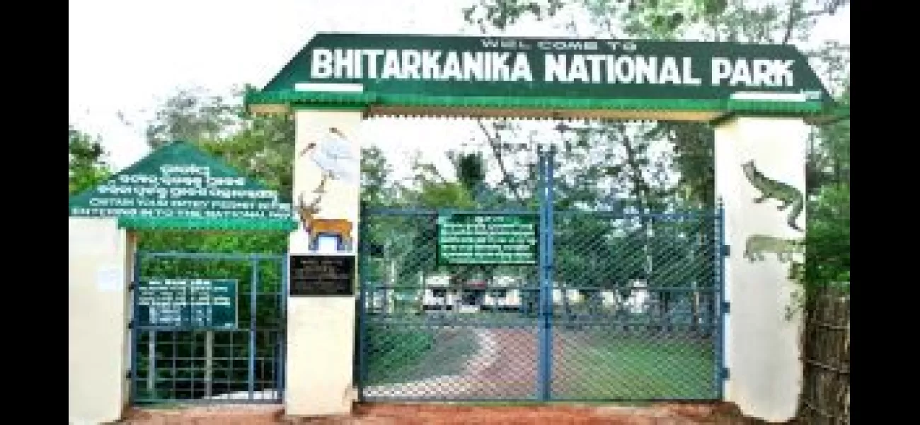 Dead crocodile discovered in Odisha's Bhitarkanika National Park.