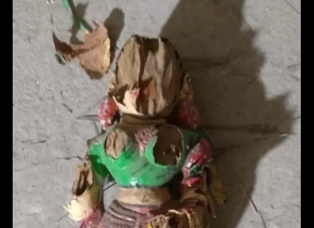 Termites in Puri consume smaller gods.