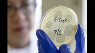 E. coli outbreak linked to salad leaves claims one life.