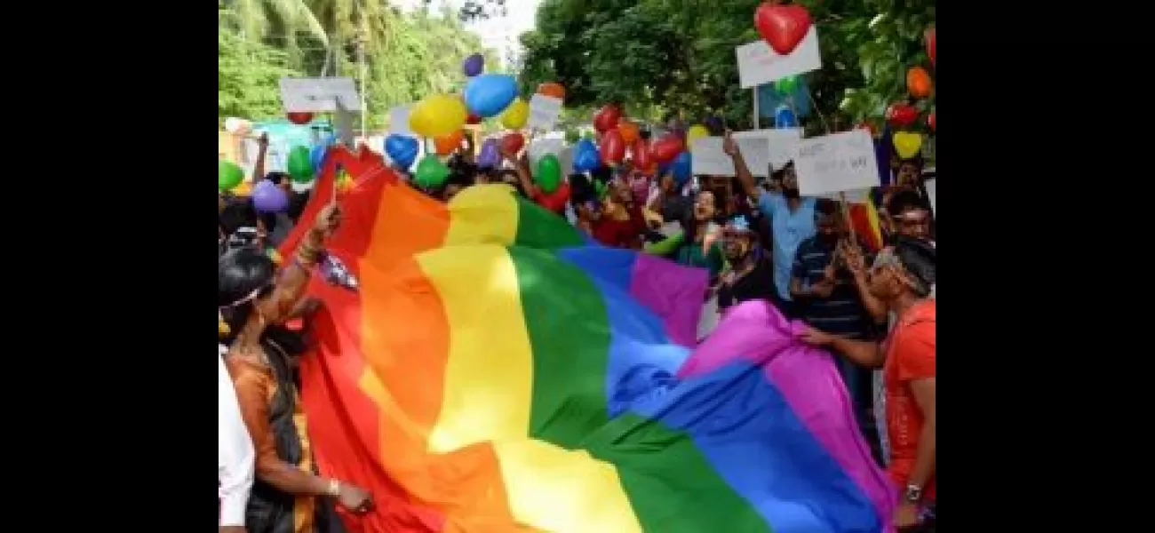 Activists warn that the BNS could have negative consequences for the LGBTQ community on International LGBT Pride Day.