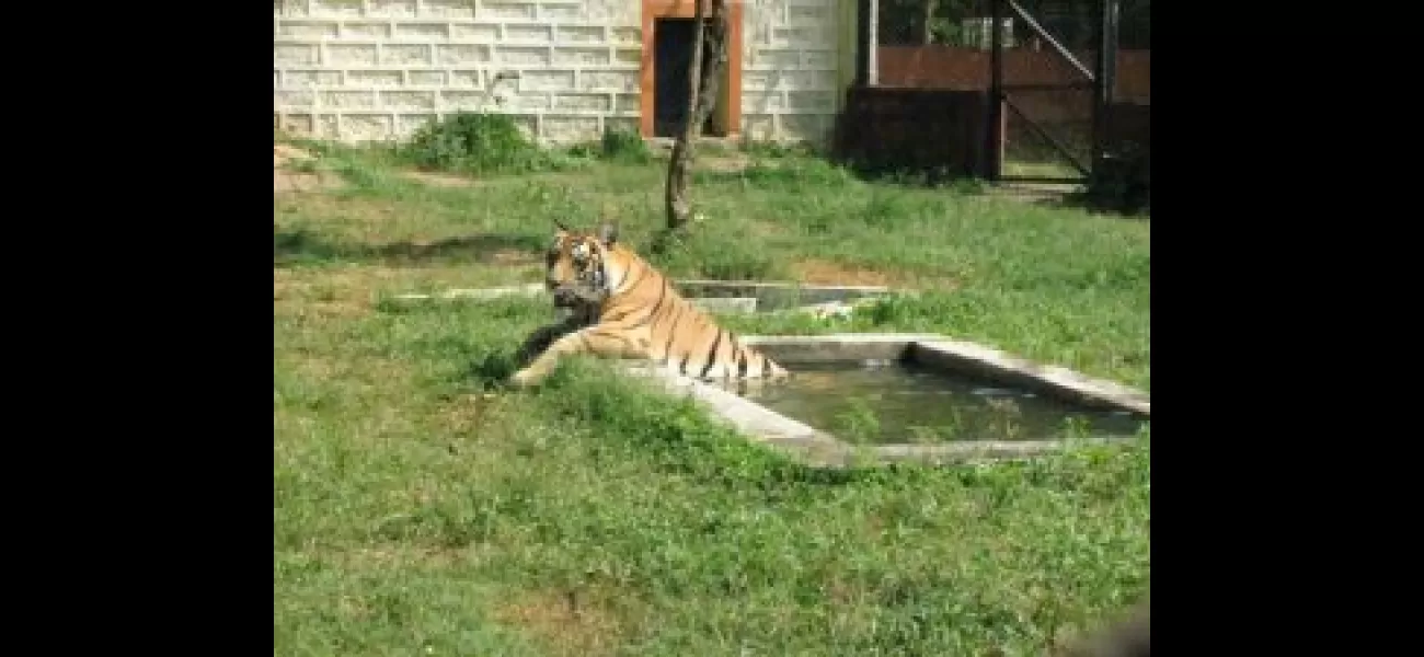 Sara, a tigress at Nandankanan Zoo, passes away.