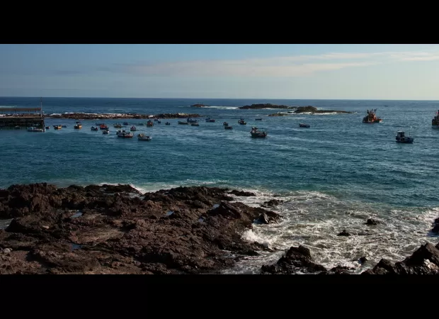 Peru earthquake sparks tsunami fears with 10ft wave warnings.