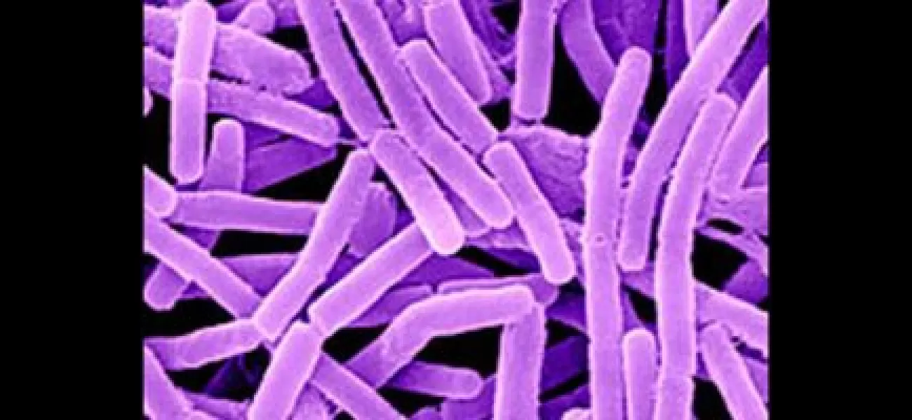 Two people in Koraput, Odisha have been confirmed to have contracted anthrax.