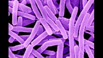 Two people in Koraput, Odisha have been confirmed to have contracted anthrax.